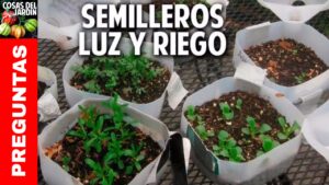 <center>Todoagrario: Especialistas en agricultura</center>