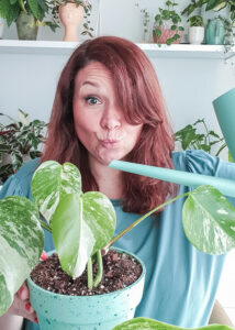 <center>Todoagrario: Especialistas en agricultura</center>