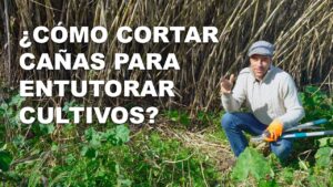 <center>Todoagrario: Especialistas en agricultura</center>