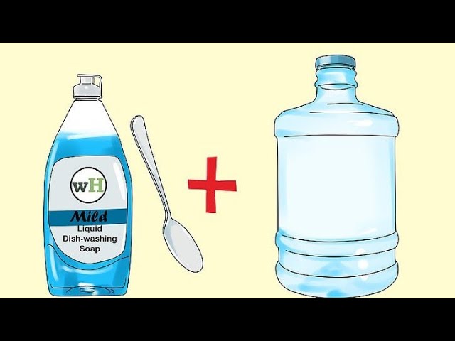Consejos para secar un árbol grande de forma rápida y discreta