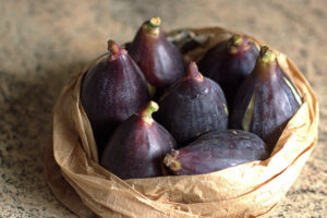 <center>Todoagrario: Especialistas en agricultura</center>