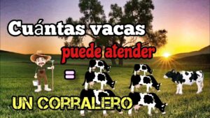 <center>Todoagrario: Especialistas en agricultura</center>