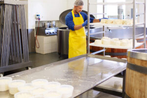 <center>Todoagrario: Especialistas en agricultura</center>