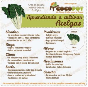 <center>Todoagrario: Especialistas en agricultura</center>