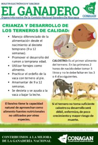 <center>Todoagrario: Especialistas en agricultura</center>