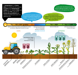 <center>Todoagrario: Especialistas en agricultura</center>