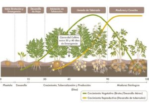 <center>Todoagrario: Especialistas en agricultura</center>
