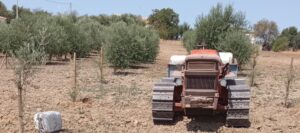 <center>Todoagrario: Especialistas en agricultura</center>