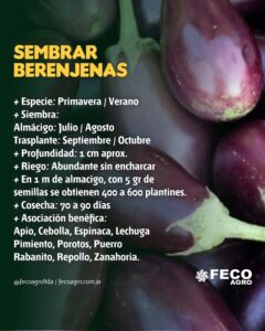 <center>Todoagrario: Especialistas en agricultura</center>