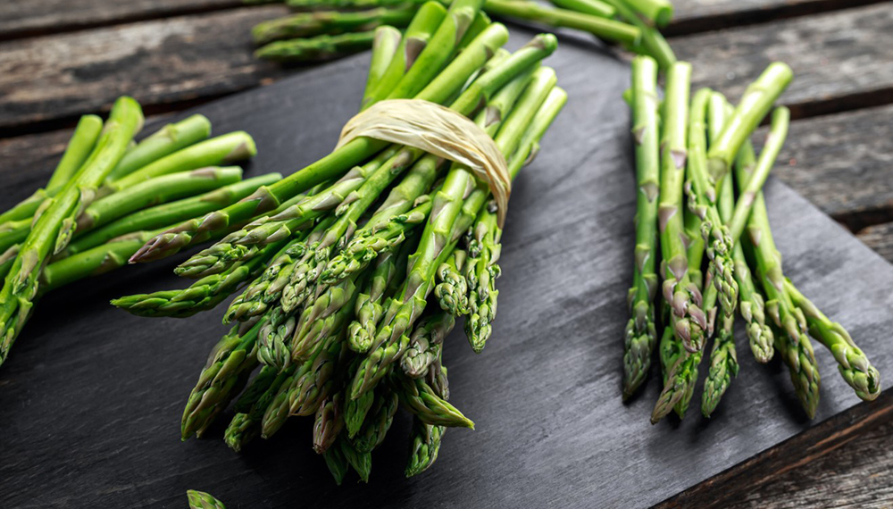 Cultivo del Esp&aacute;rrago Verde: Consejos y Recomendaciones para una Buena Producci&oacute;n