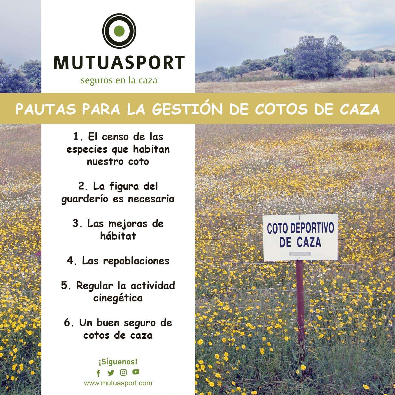 Denunciar un Coto de Caza: Pasos y Consideraciones Importantes