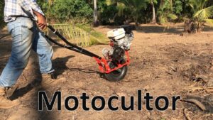 <center>Todoagrario: Especialistas en agricultura</center>