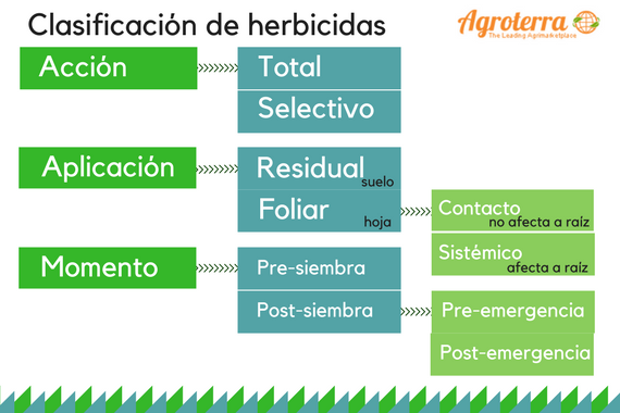 Diferencia entre herbicida sist&eacute;mico y de contacto: conoce sus caracter&iacute;sticas y usos