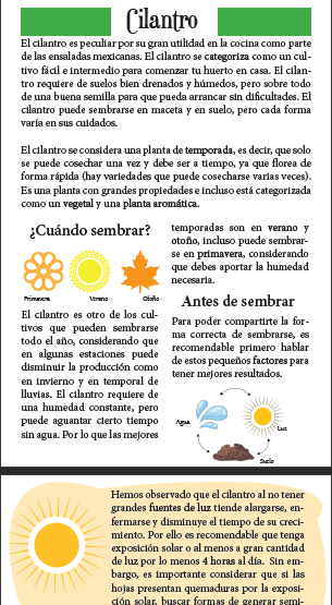 El Cultivo del Cilantro: Consejos y Cuidados para una Buena Producci&oacute;n