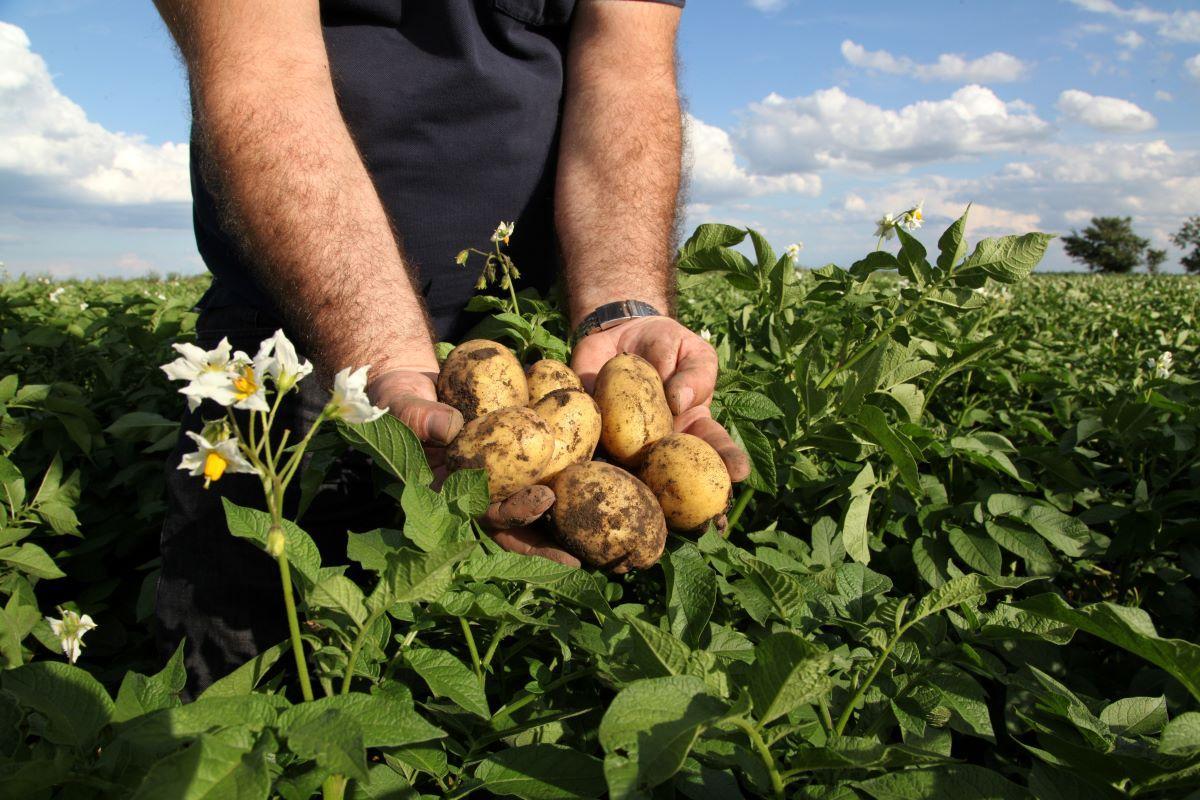 El Plantel San Isidro: Un referente en agricultura sostenible
