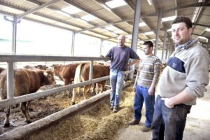 <center>Todoagrario: Especialistas en agricultura</center>