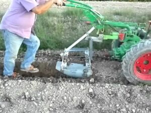 <center>Todoagrario: Especialistas en agricultura</center>