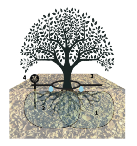 <center>Todoagrario: Especialistas en agricultura</center>