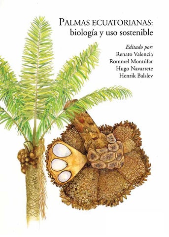 Descubre el Nombre Cient&iacute;fico de la Palma: Todo lo que Debes Saber