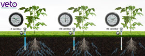 <center>Todoagrario: Especialistas en agricultura</center>