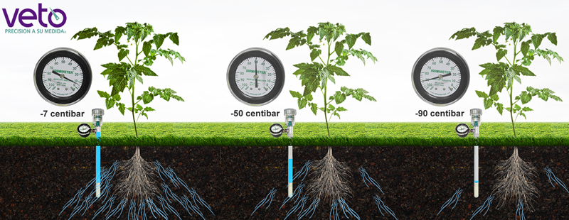 La importancia del medidor de humedad del suelo en la agricultura