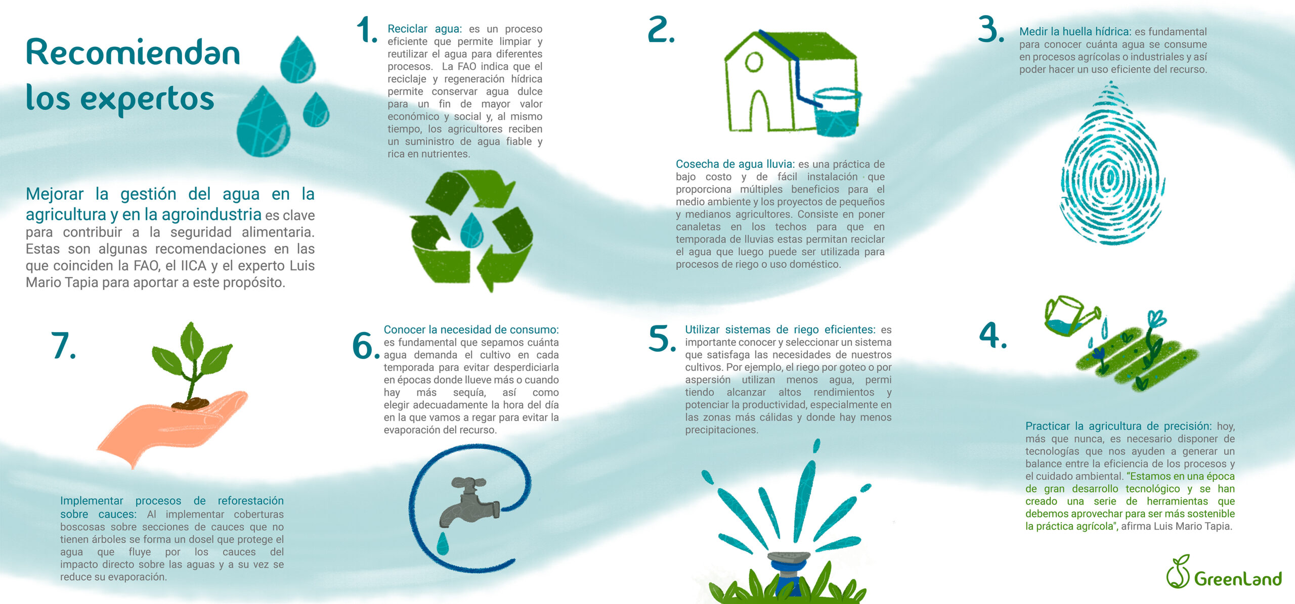 Las necesidades de agua de los cultivos: importancia y manejo eficiente del recurso