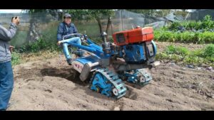 <center>Todoagrario: Especialistas en agricultura</center>