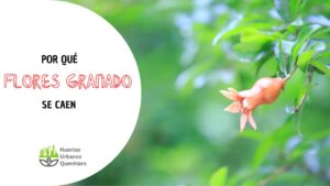 <center>Todoagrario: Especialistas en agricultura</center>