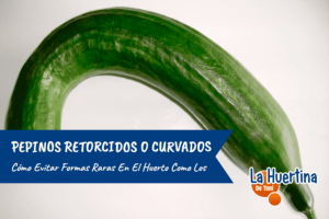<center>Todoagrario: Especialistas en agricultura</center>