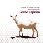 Qu&eacute; No Pueden Comer las Ovejas: Alimentos Prohibidos para tu Reba&ntilde;o